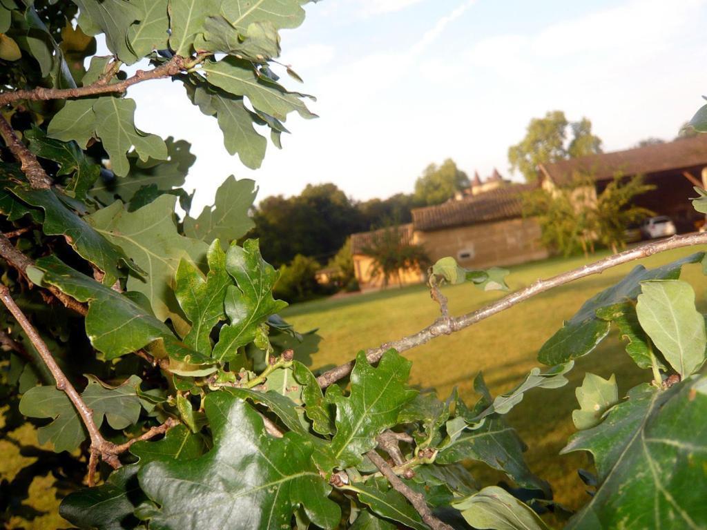 Bed & Breakfast - Maison De Marie Messimy-sur-Saone Eksteriør bilde