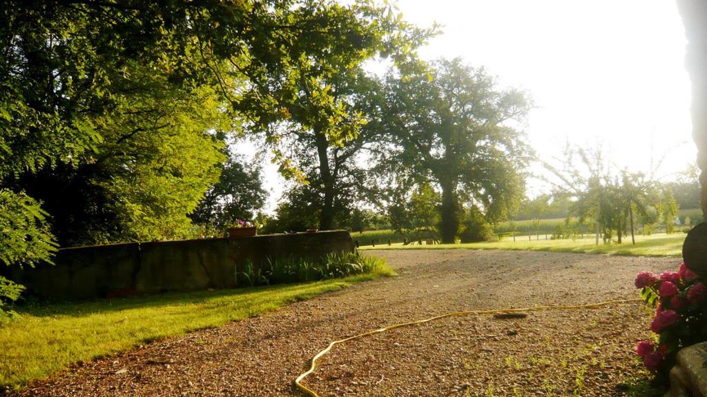 Bed & Breakfast - Maison De Marie Hotell Messimy-sur-Saone Eksteriør bilde