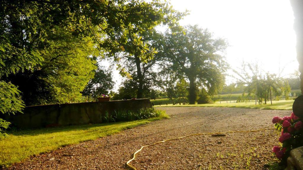 Bed & Breakfast - Maison De Marie Messimy-sur-Saone Eksteriør bilde
